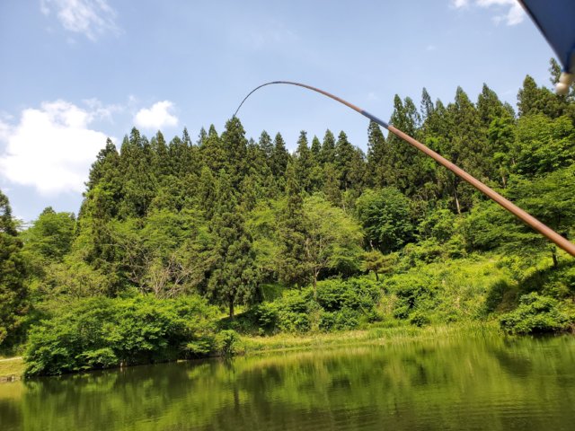 シマノ【かすみ】12尺レビュー | 釣りと登山を楽しむ｜釣山の日々